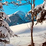 Living Apartments Saalbach